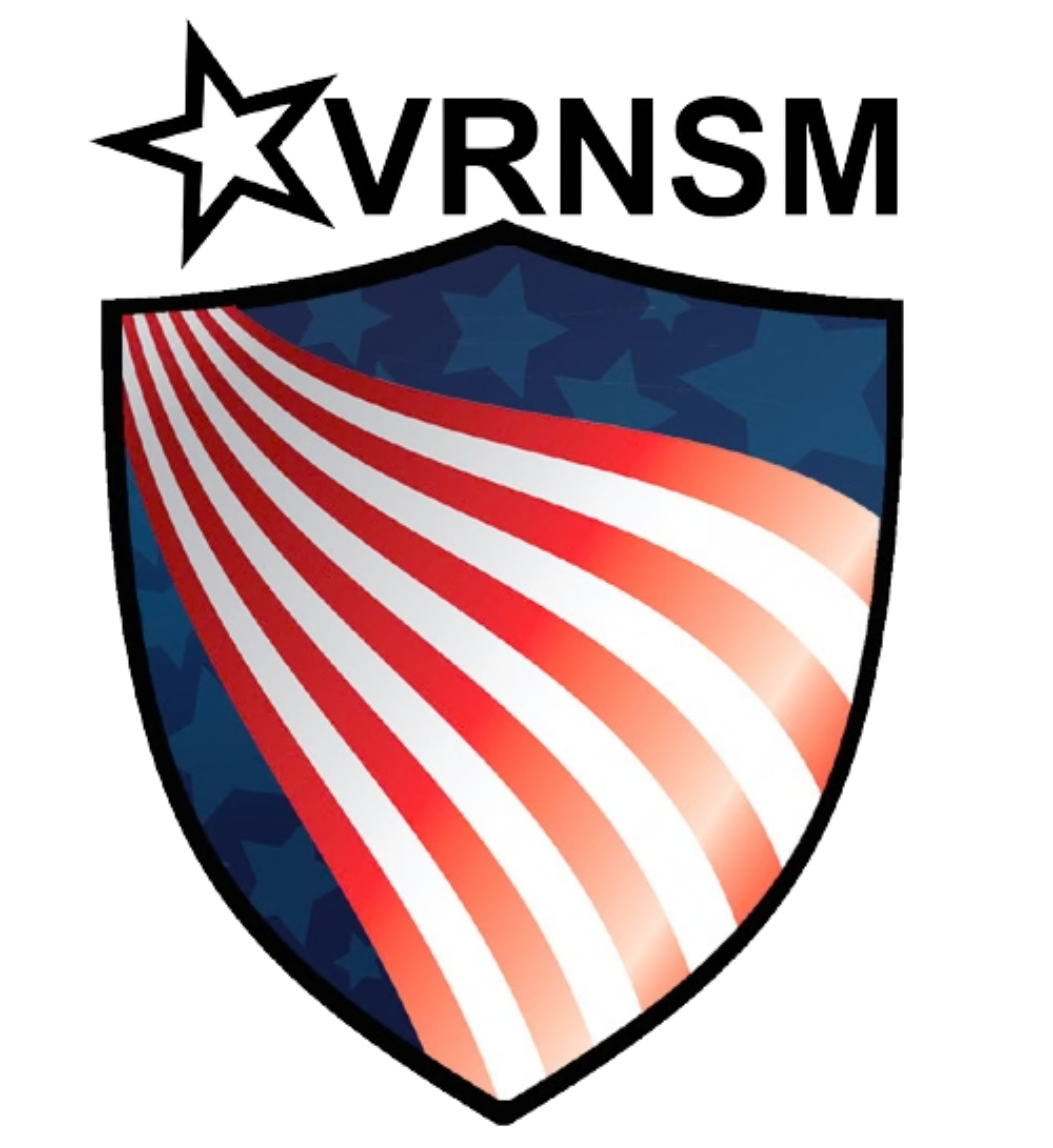 the logo for veterans resource network of southeast michigan